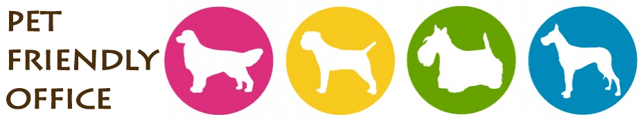 cabecera-oficina-mascotas