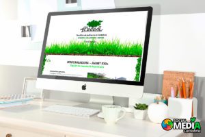 Lee más sobre el artículo Diseño Web Barbol