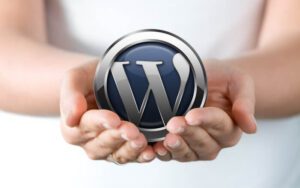 Lee más sobre el artículo WordPress: 5 claves para una web sana