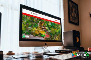Lee más sobre el artículo Tienda Online Top Finch