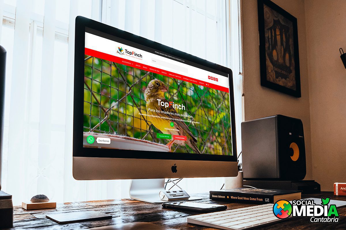 En este momento estás viendo Tienda Online Top Finch