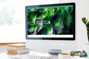 Lee más sobre el artículo Posicionamiento SEO Seakit