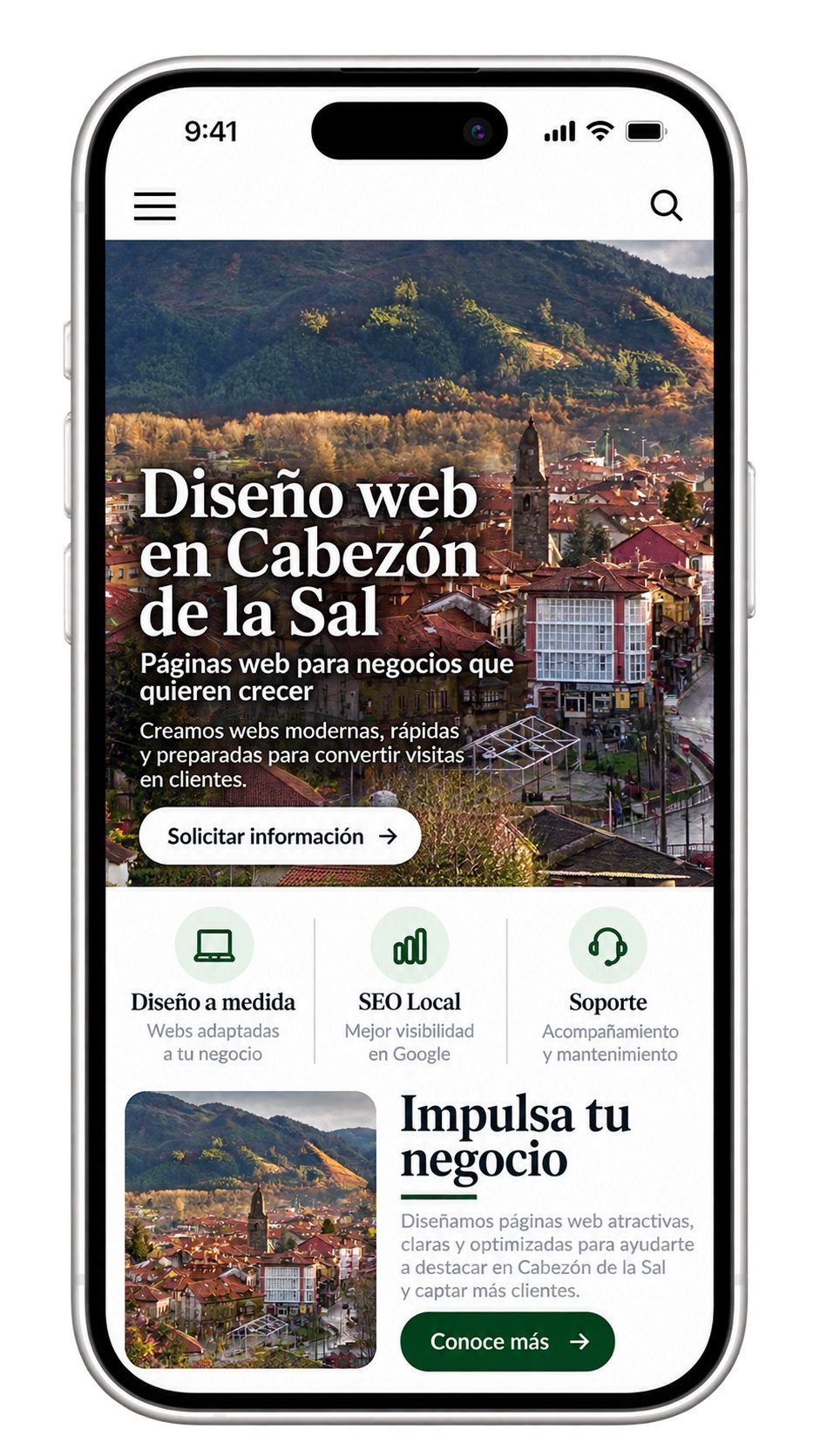 diseño de paginas web en cabezon de la sal