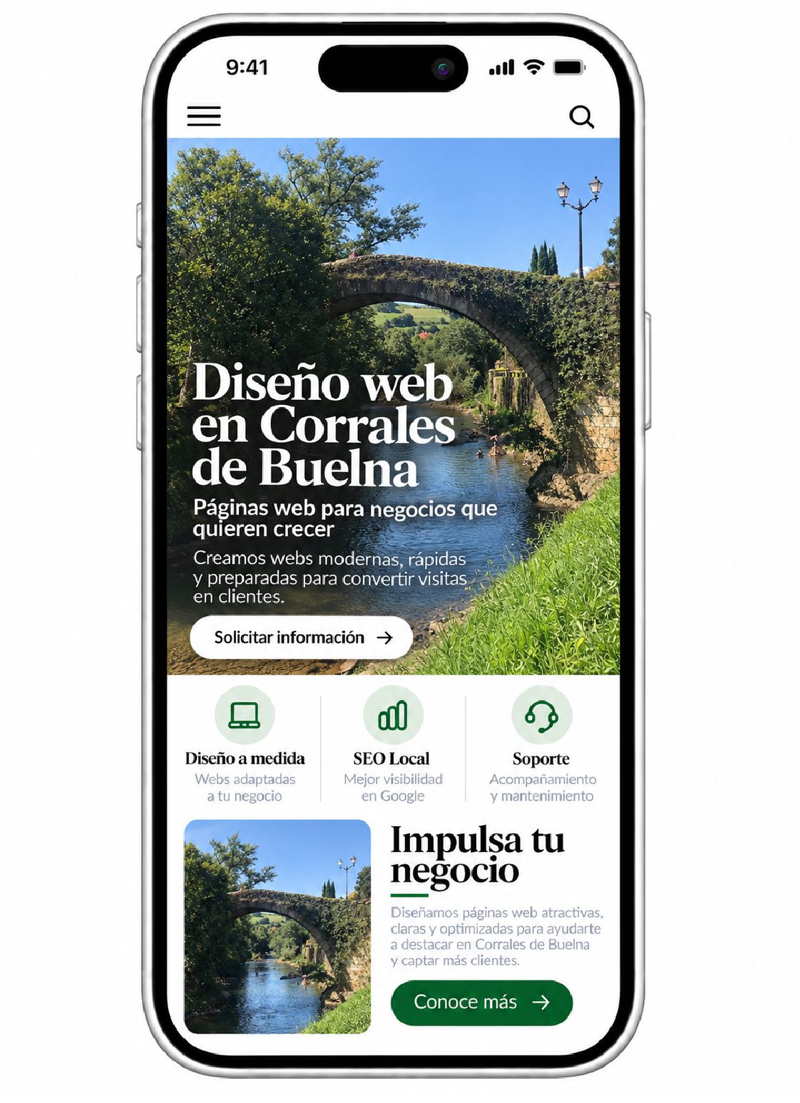 diseño de paginas web en corrales de buelna