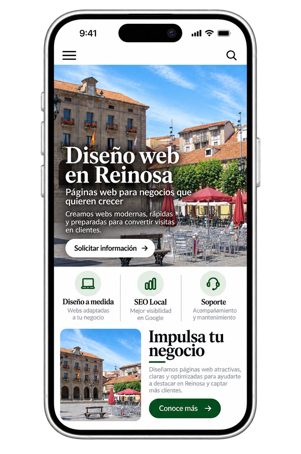 diseño de paginas web en reinosa