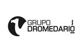 grupo-dromedario