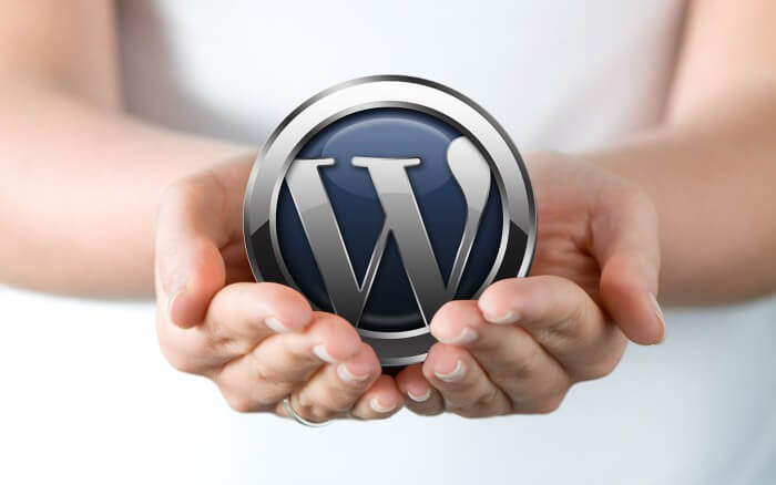 Páginas web en WordPress en Santander