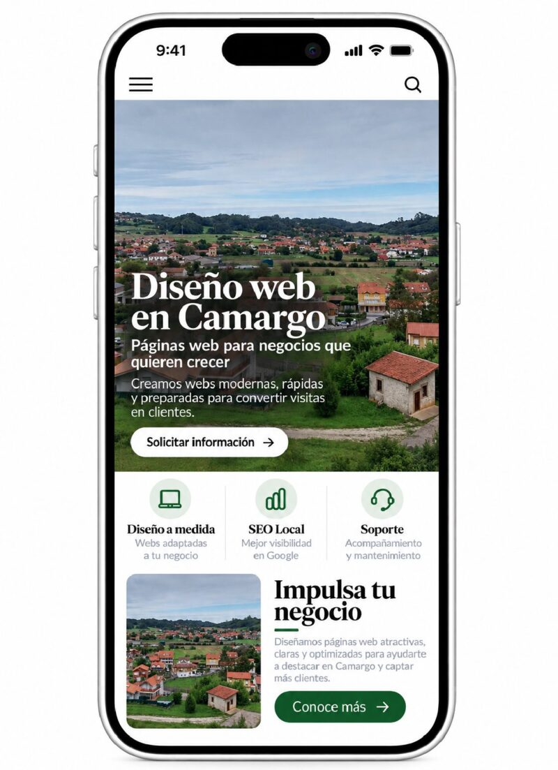 diseño de paginas web en camargo